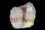 Cactus Quartz (Amethyst) Crystal Cluster - South Africa #137791-1